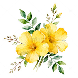 水彩黄花朵卉装饰图案