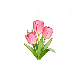 卡通风格粉色郁金香插画