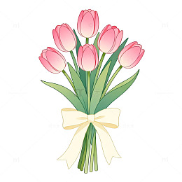 插画风粉色郁金香花束