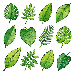 卡通风绿色叶片矢量插画
