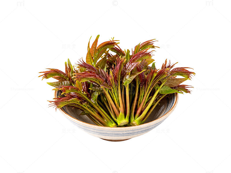 陶瓷碗盛装香椿嫩芽