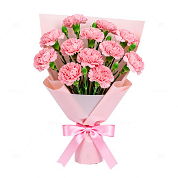 粉色康乃馨花束装饰设计素材