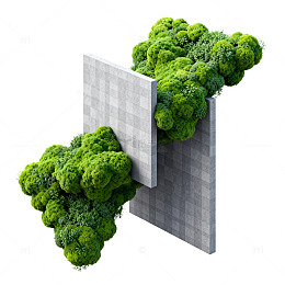 绿色植物墙创意装饰设计