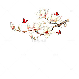 白玉兰花蝴蝶水墨画
