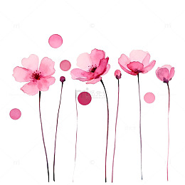 水彩粉色花朵艺术插画