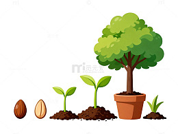 植物生长过程插画