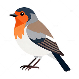 卡通风格知更鸟插画