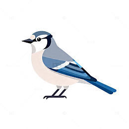 卡通鸟插画平面设计元素