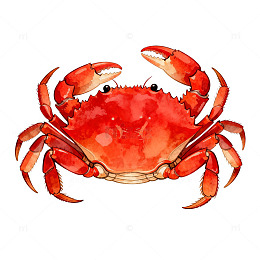 鲜艳螃蟹插画素材