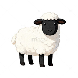 卡通绵羊插画素材
