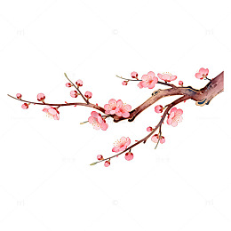 水彩梅花枝条装饰画素材