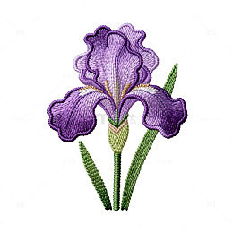 刺绣风紫色鸢尾花图案