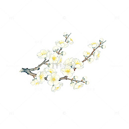 水彩梅花盛开图