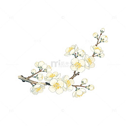 水彩梅花枝条插画设计素材