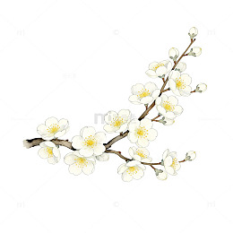 梅花枝插画设计素材