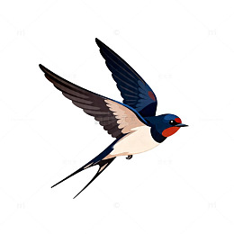 卡通燕子插画设计素材