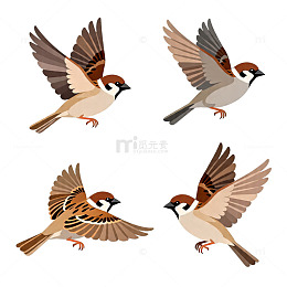 卡通麻雀飞行姿势插画