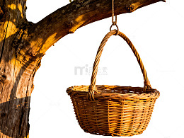 藤编篮子悬挂树枝