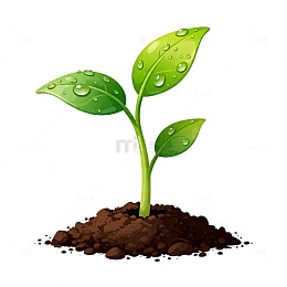 卡通植物生长图
