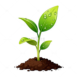 清新绿植插画素材