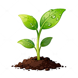卡通小树苗生长插画