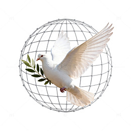 白鸽橄榄枝铁笼图案