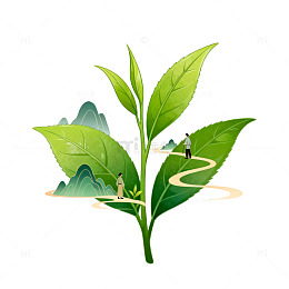 茶叶插画山水风景