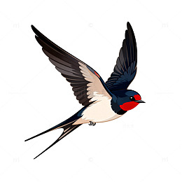 卡通燕子飞翔插画