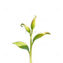 清新插画风幼苗生长艺术素材