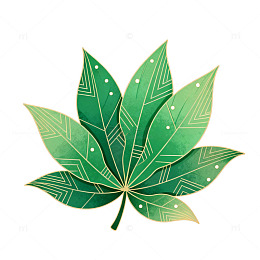 绿色枫叶插画素材