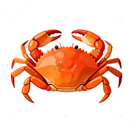 卡通螃蟹插画设计素材