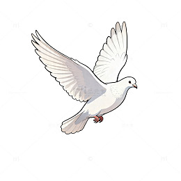 卡通白鸽飞翔图