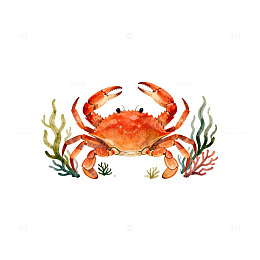 水彩螃蟹海底世界插画