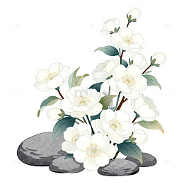 水墨茉莉花石堆插画