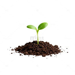 绿色幼苗生长土壤生态