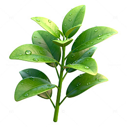 绿叶水滴清新植物素材