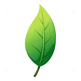 绿色叶子矢量插画素材