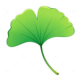 银杏叶卡通矢量插画