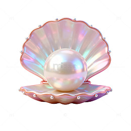 珍珠贝壳插画素材