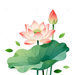 插画风格荷花荷叶设计元素