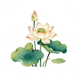 水墨荷花淡雅插画设计素材