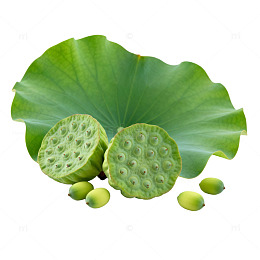 清新自然莲蓬荷叶图