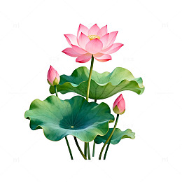 荷花插图设计元素