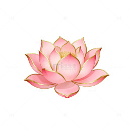 粉色莲花图案装饰元素