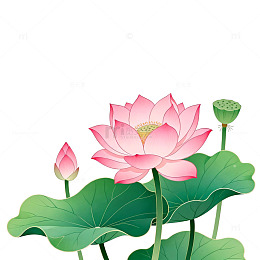 卡通荷花插图设计素材