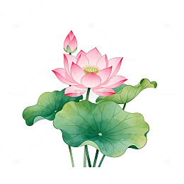 水墨荷花传统中国画元素