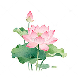 水彩荷花装饰画设计素材