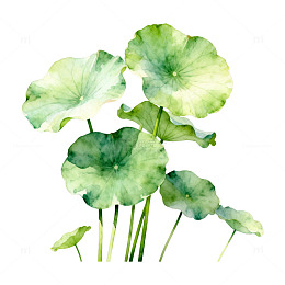 水墨荷叶手绘装饰画