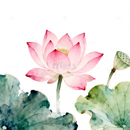 水墨荷花淡雅插画