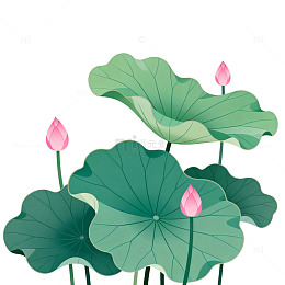 水墨荷花插画素材